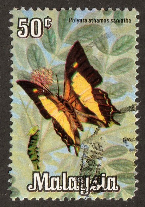 Malaysia         68           used