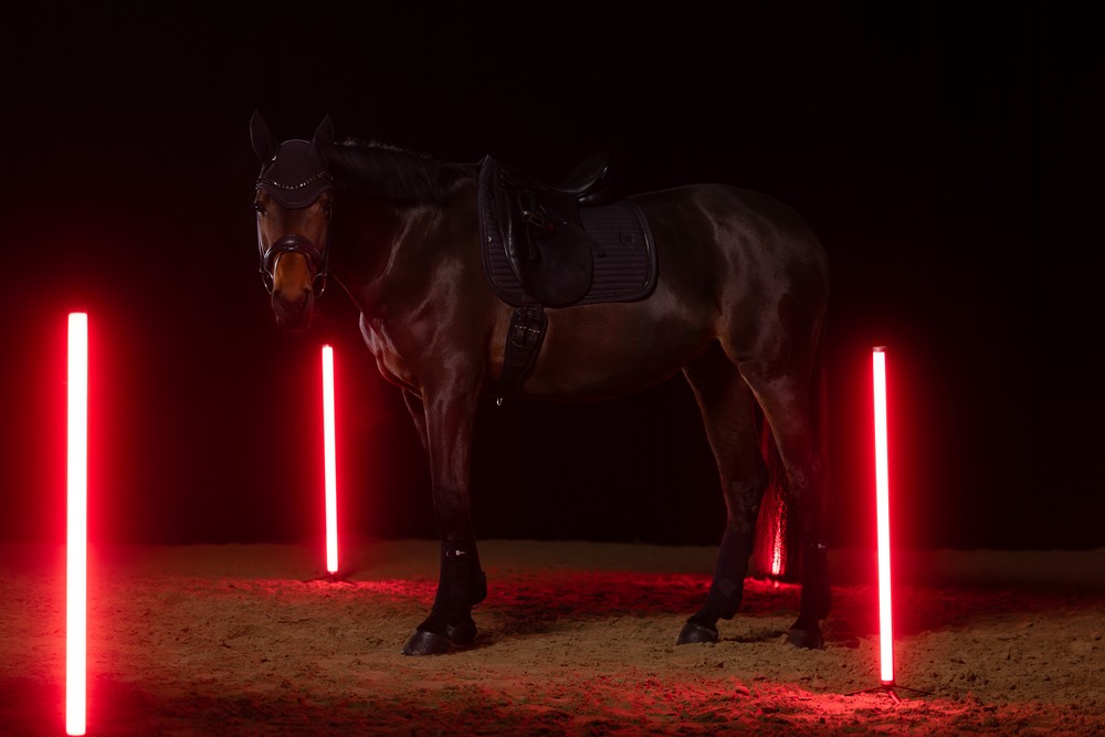 Eskadron Saddle Cloth SPARKLE CRYSTAL black DYNAMIC 25 H/W