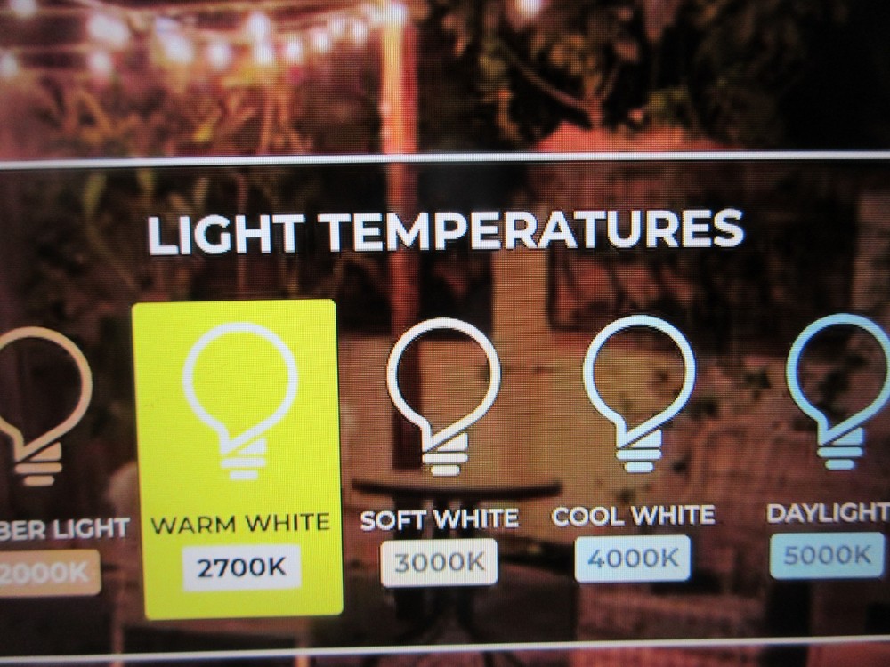 Bulbrite Outdoor/Indoor 30 ft. Plug-In Edison Bulb S14 LED Black String Light