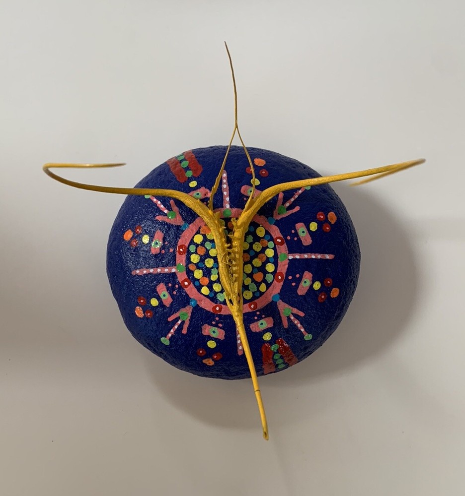 Proboscidea Devil's Claw FOLK ART SCULPTURE Painted Rock DEVIL'S Paperweight
