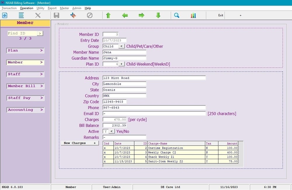 Regular Billing Ledger Software - Care Pet Account Pos NXAB