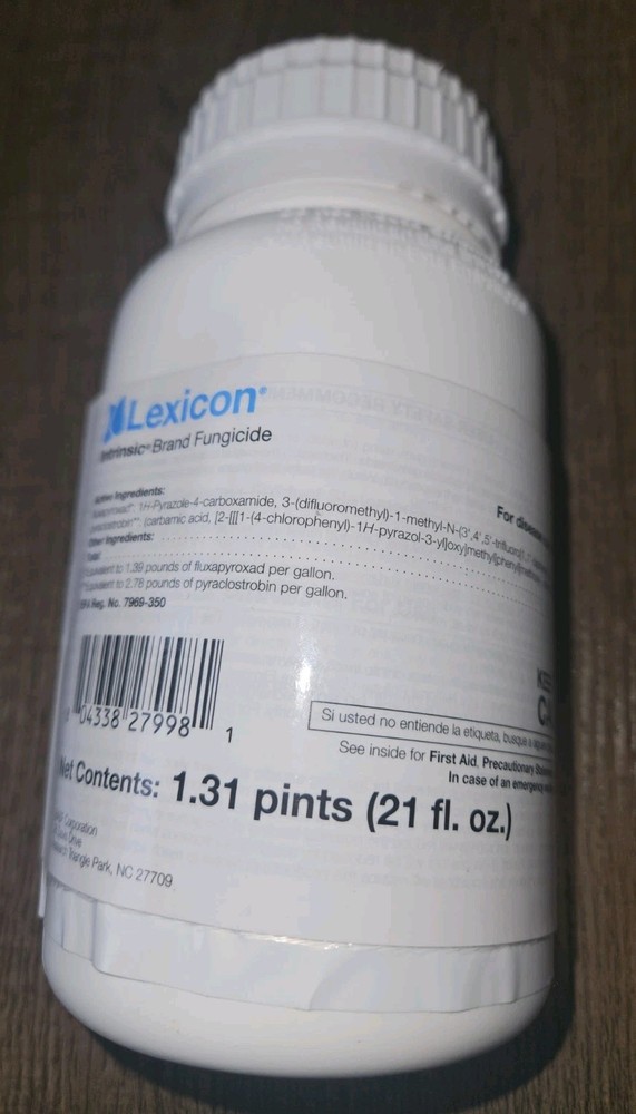 Lexicon 21oz