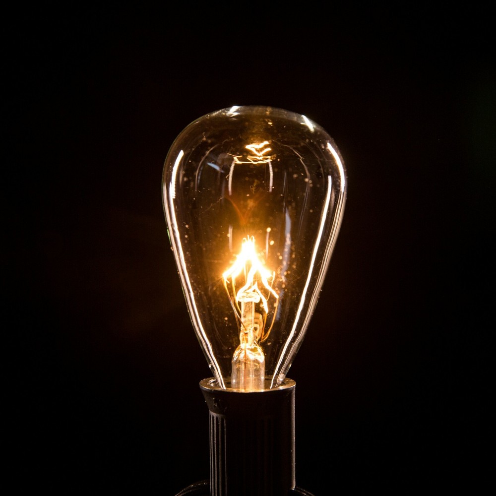 Box of 25 ST11 Clear 5W C7 E12 Base String Light Replacement Bulbs