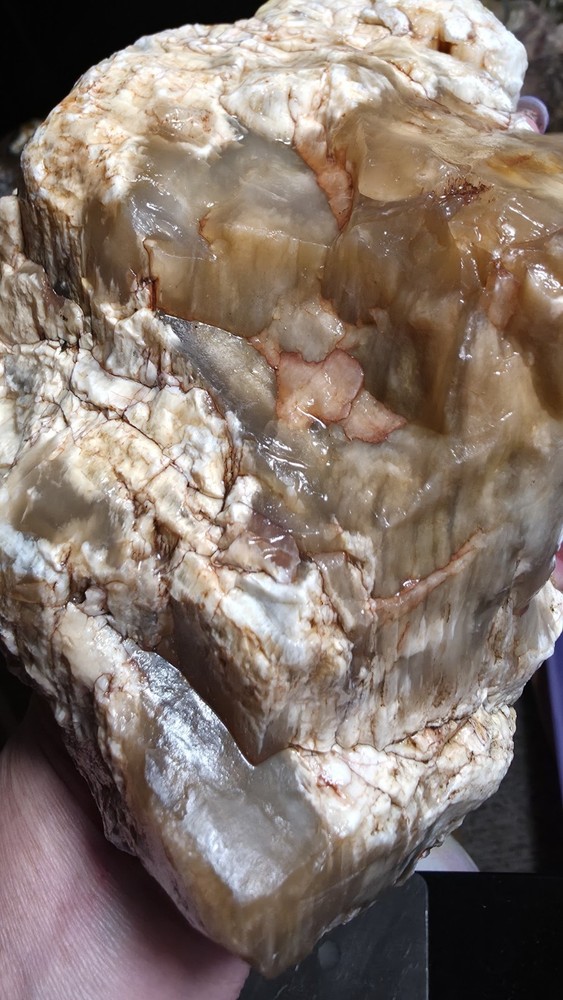 agatized petrified wood 3pc. Lot