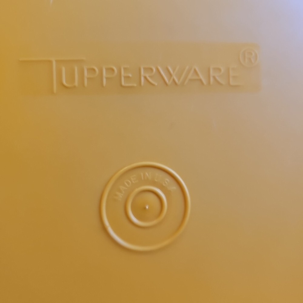 Tupperware Mango/orange Colored Sandwich Keeper