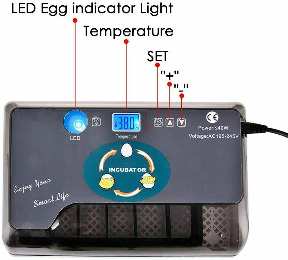 12 Egg Incubator for Hatching Eggs w/Automatic Egg Turning Temperature Control