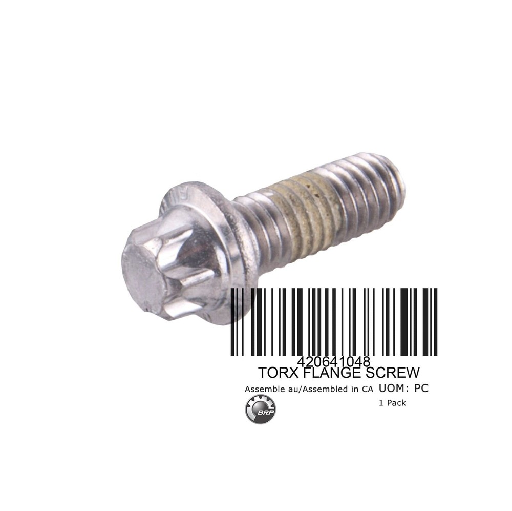 420641048TORX FLANGE SCREW