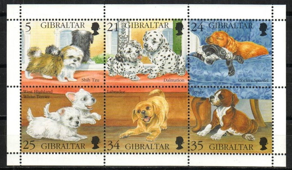 Gibraltar Stamp 702  - Puppies