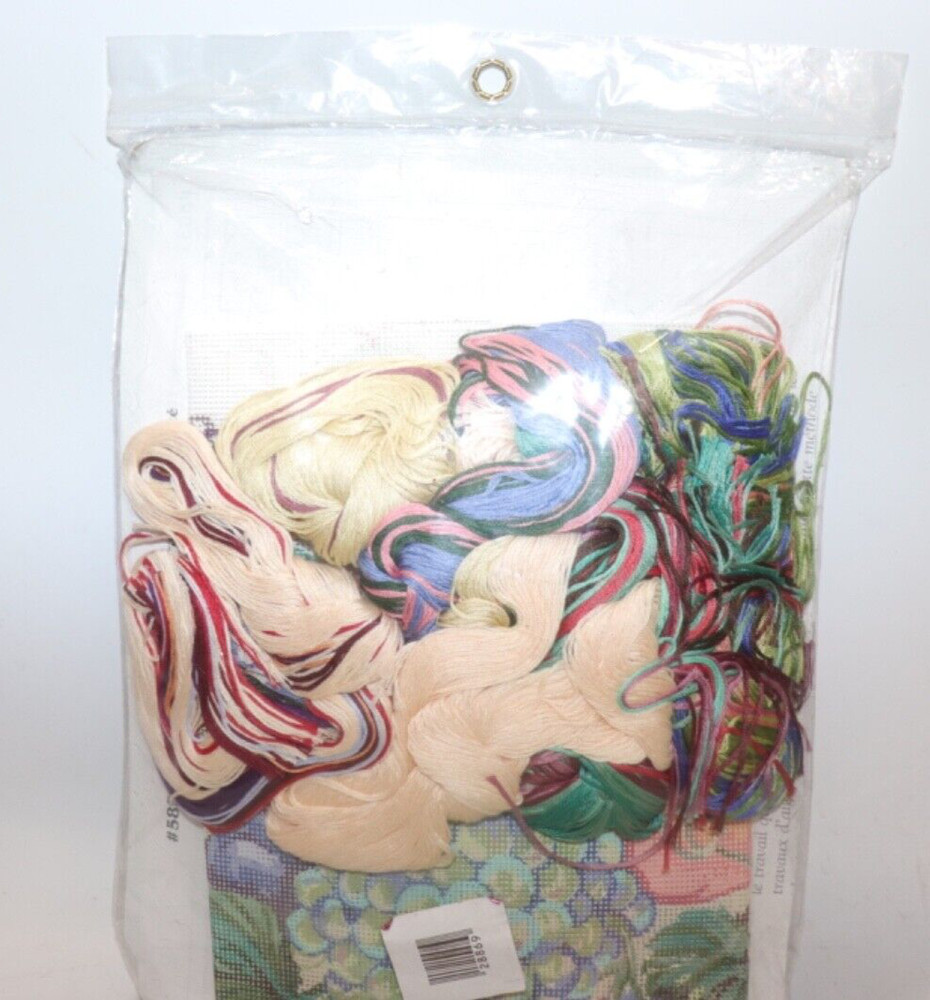 NEW Unused Needlepoint Canvas & Floss – Summer Fruit Printed Design