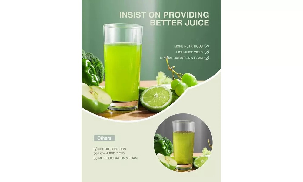 Brewsly Slow Masticating Juicer Extractor with 3-Mode 2-Speed Easy to Clean