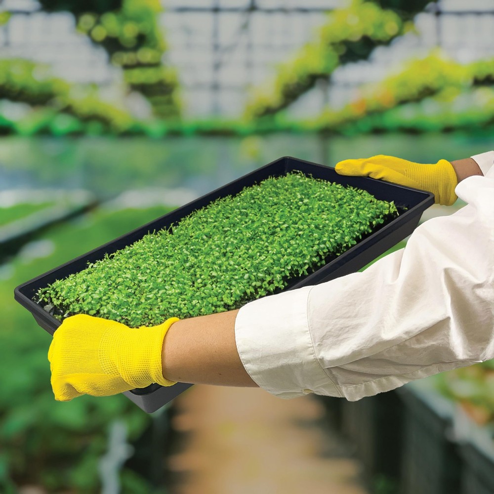 Seed Starter Trays 20"x10" for Microgreens, Wheatgrass, Hydroponics, No Drain...