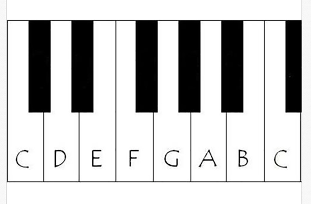 Roland Fantom Replacement Keyboard Key