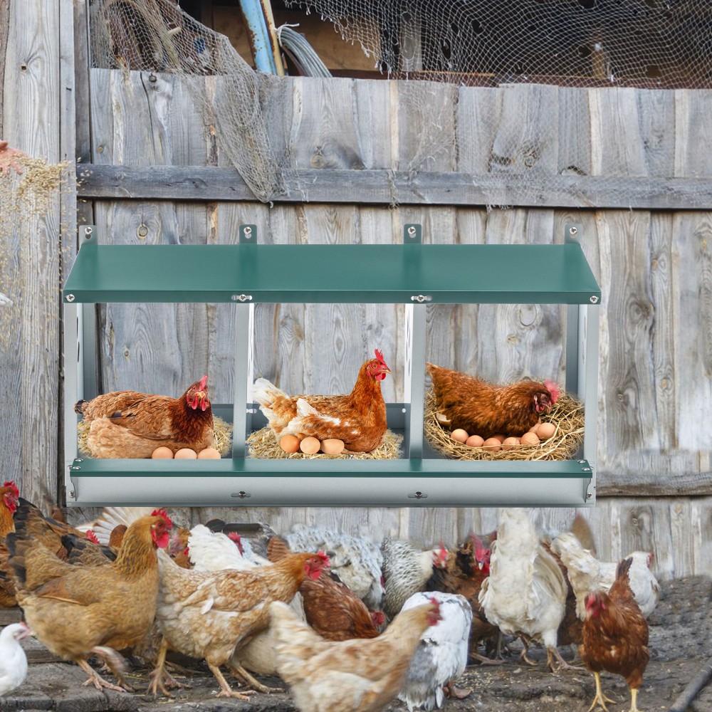 3/4/6/8 Room Nesting Boxes for Chicken, Galvanized steel Nesting Boxes for Hens