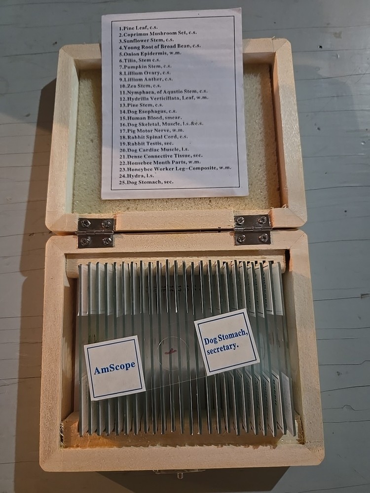 Kit of 25 AMSCOPE Prepared Microscope Slide Set for Basic Biological Science