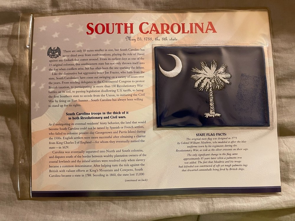 WILLABEE & WARD FLAG PATCH PANE ****SOUTH CAROLINA