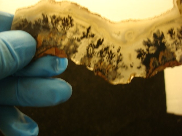 plume agate slab wyoming