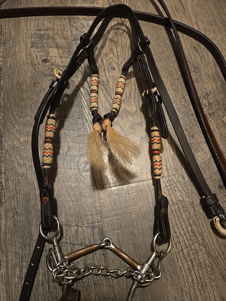western bridle and reins