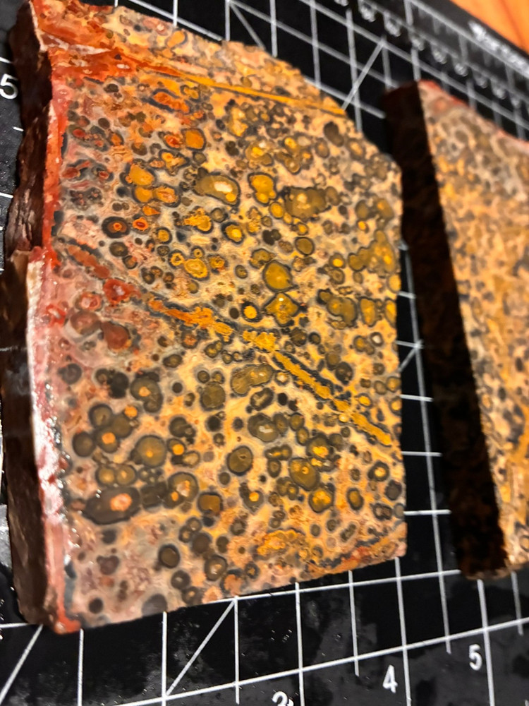 OLD CLASSIC LEOPARD JASPER SLABS (TWO) @  500 Grams GOOD STUFF
