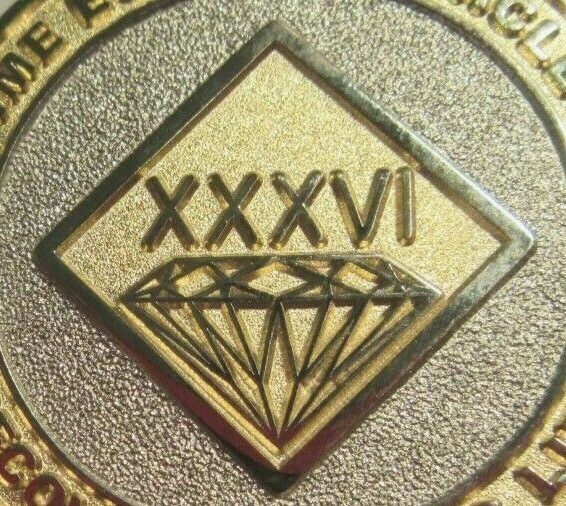 Narcotics Anonymous NA GOLD SILVER 36 Year Medallion Chip Coin Token