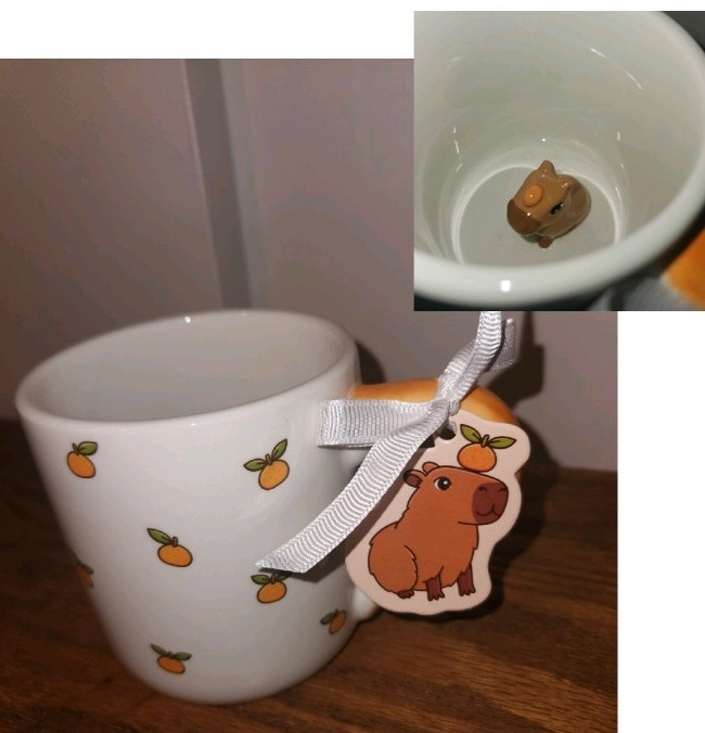 Capybara Mug Cup With Cute Capybara Bathing Inside SHIPS NOW
