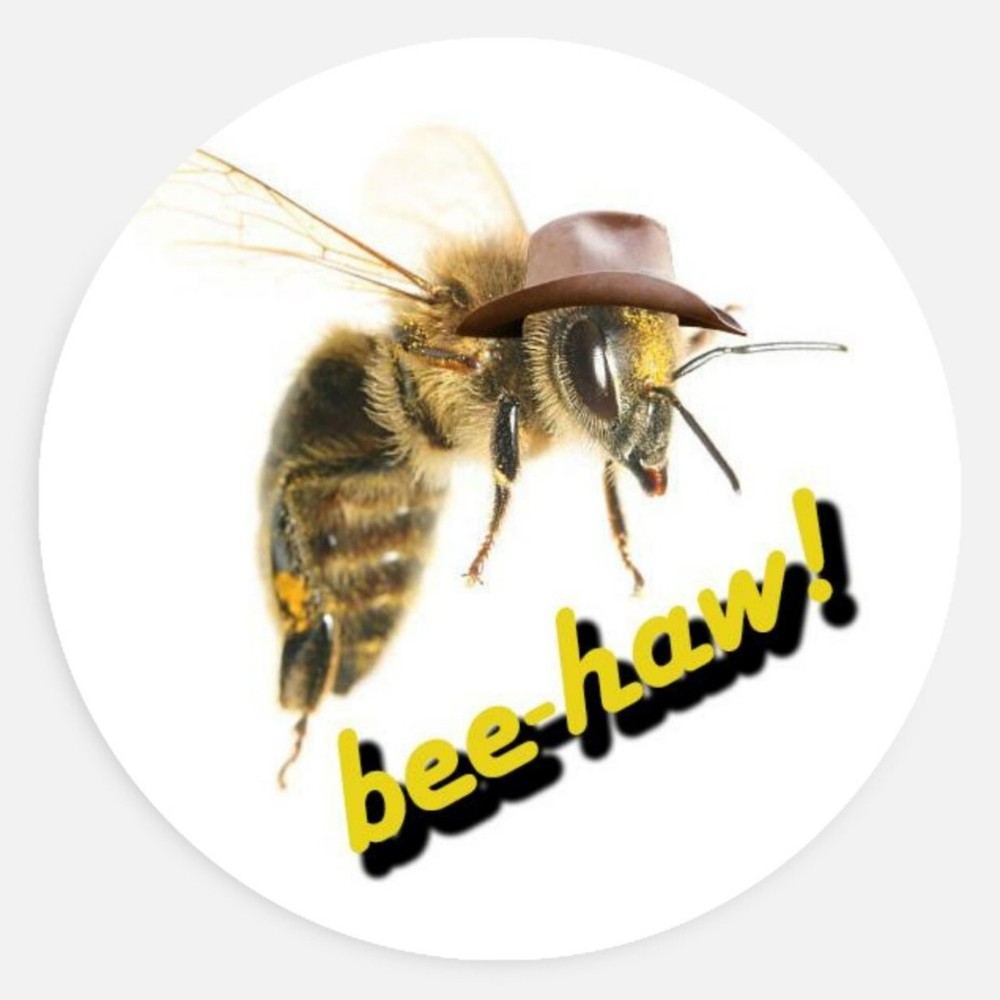 Bee-Haw! cowboy bee pun 1.5in sticker