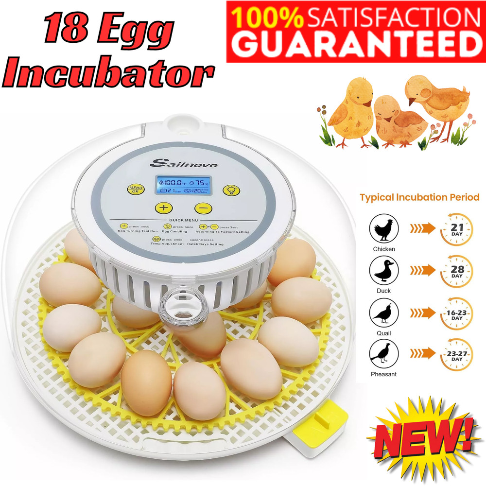18 Egg Poultry Incubator for Hatching Chick Automatic Turning Egg Incubator⚡