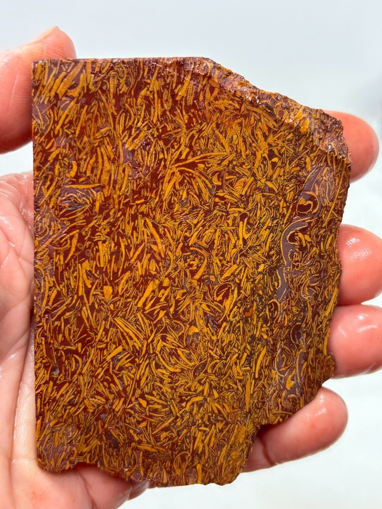 Script Stone Jasper Slab Cabbing Lapidary Collecting Combo Ship Avail