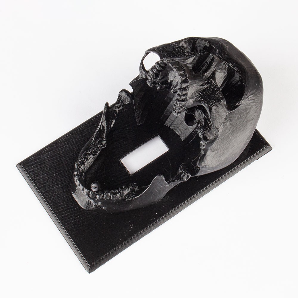 Skull Light switch plate NTL