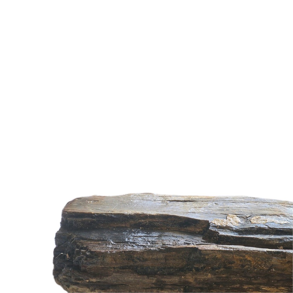 6lb Petrified Wood