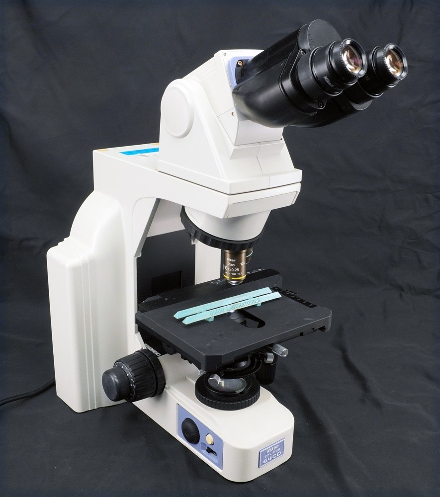 Nikon Eclipse E400 Microscope Ergo Binocular 10x Eye Plan 10/40x Objective Lot B