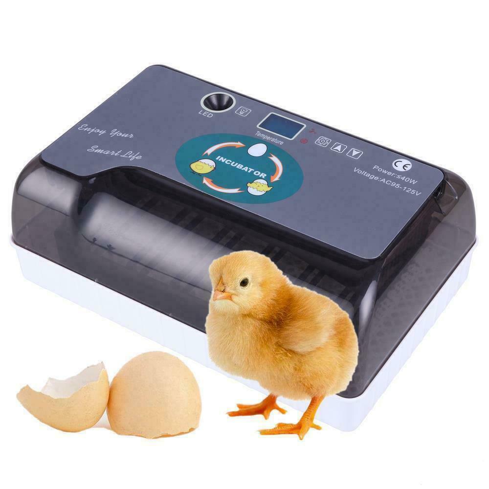 Automatic Egg Incubator for Hatching Eggs 12 Eggs Incubator Automatic Egg Turn
