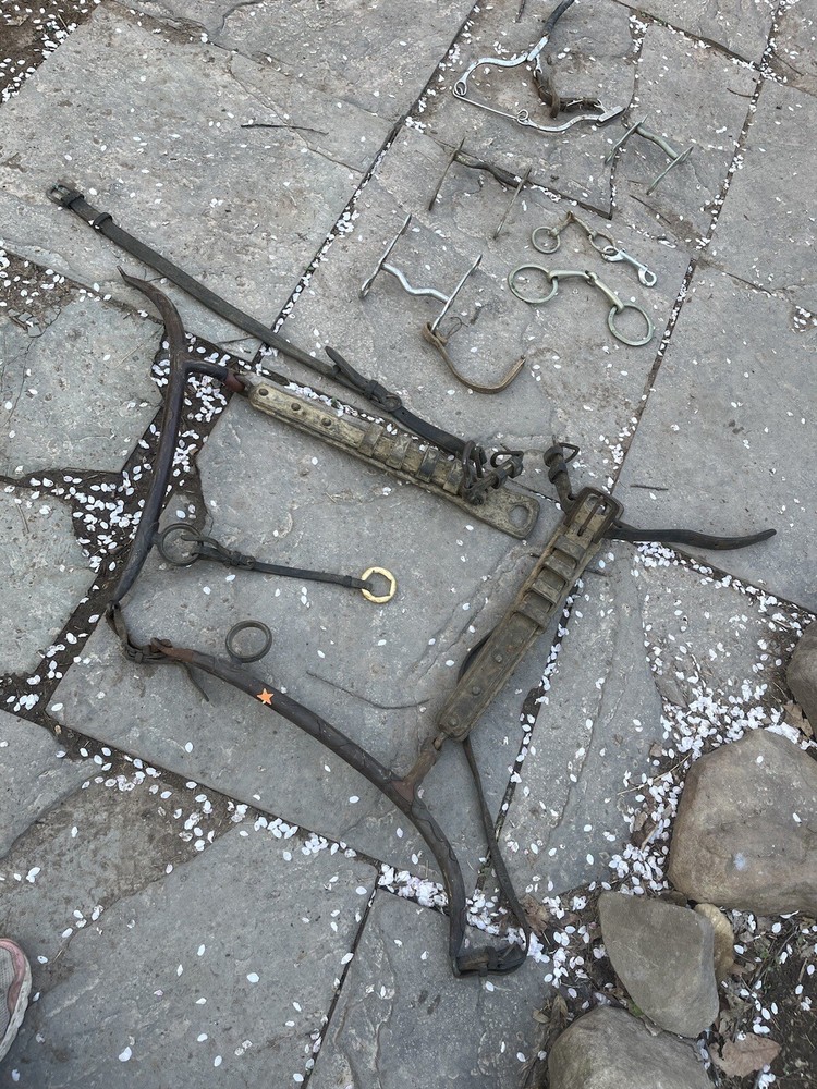 Vintage Horse Bits And Harness