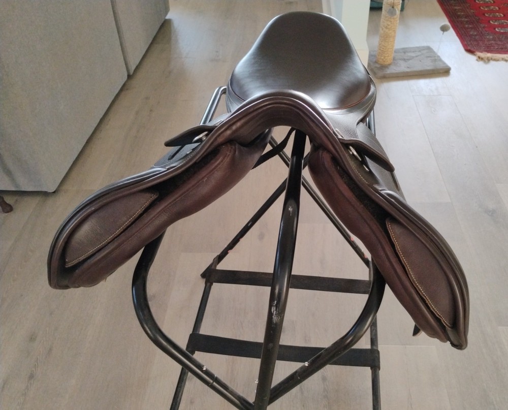 Collegiate Graduate CC/jump 17 in saddle