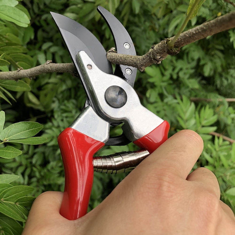 gonicc 8" Professional Sharp Bypass Pruning 8 Inch, Red Shears