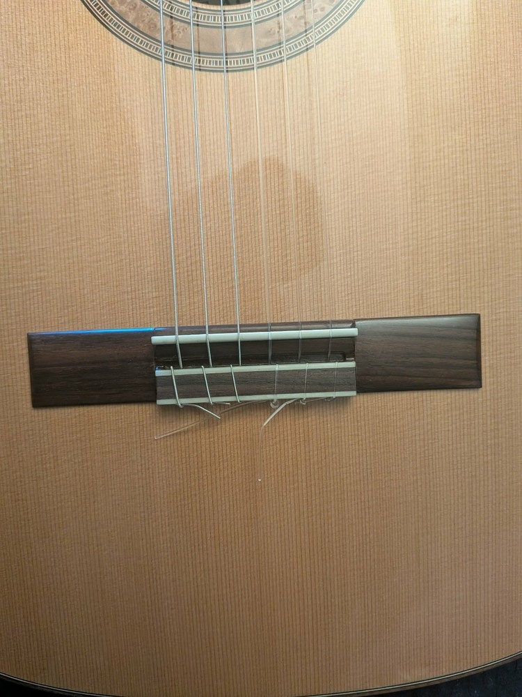Steve Allen Solid Granadillo and Cedar classical guitar