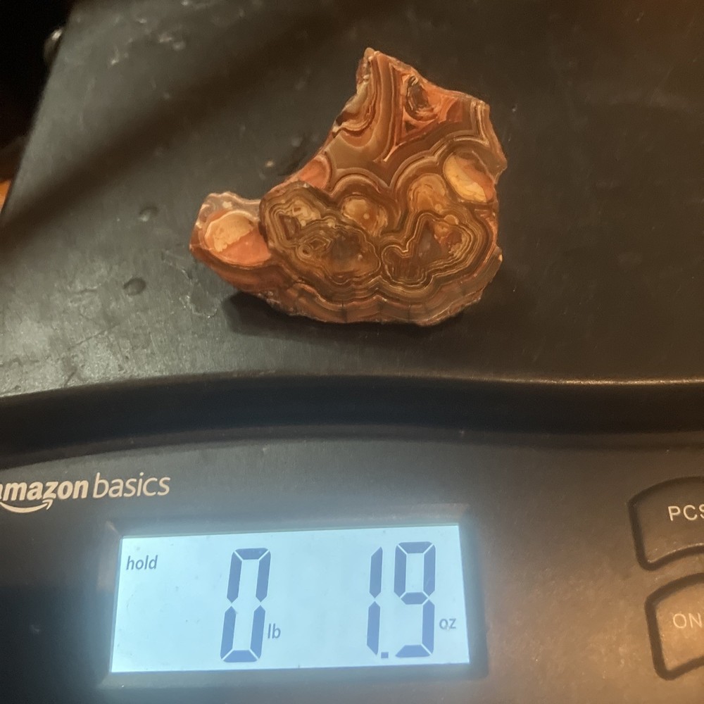 Crazy Lace Agate (End Cut)