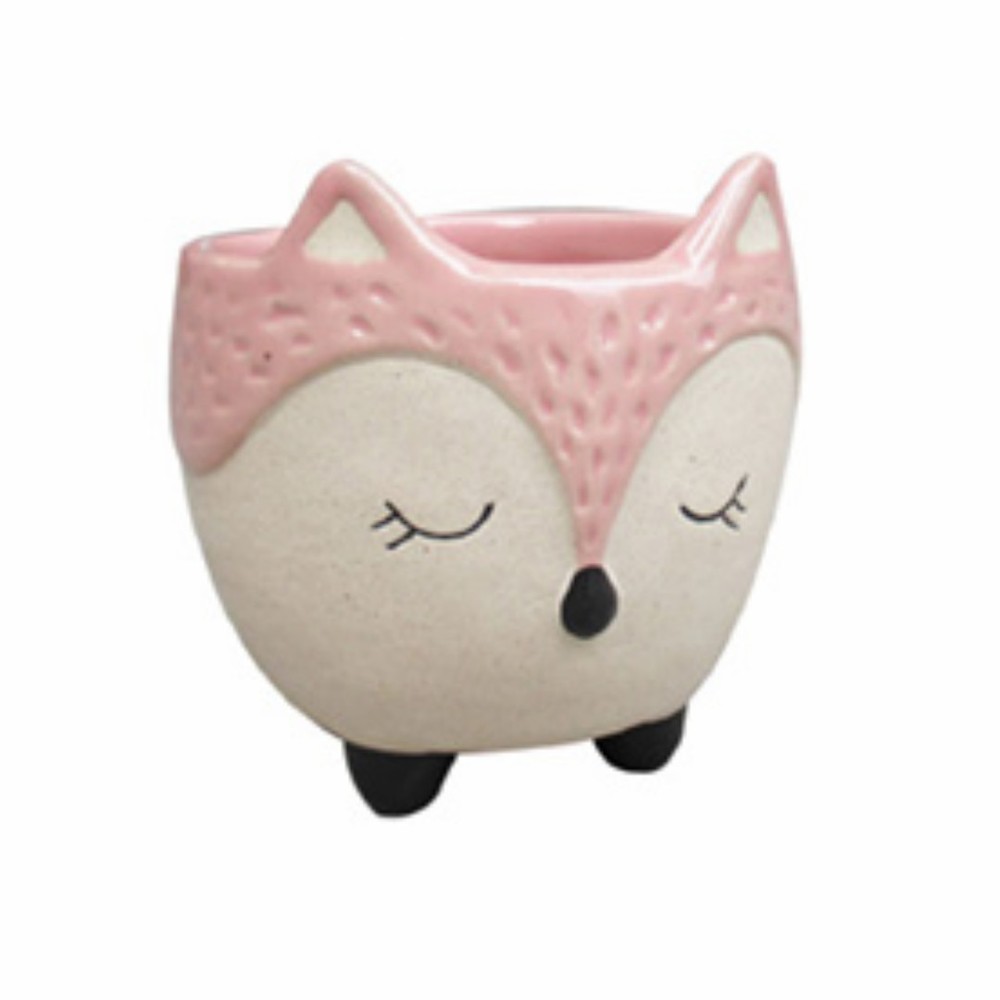 lotus international 3" Pink Fox Planter