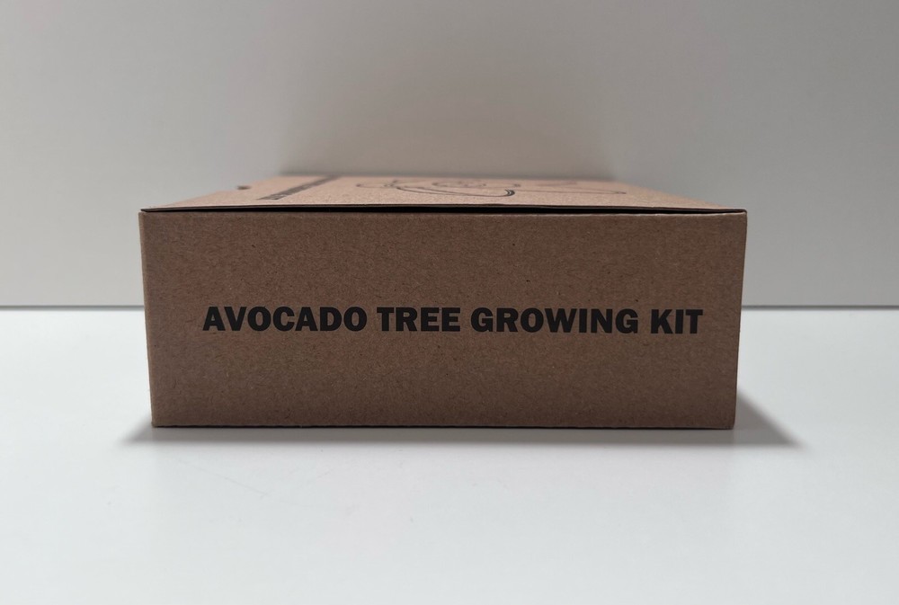 avocado tree growing kit