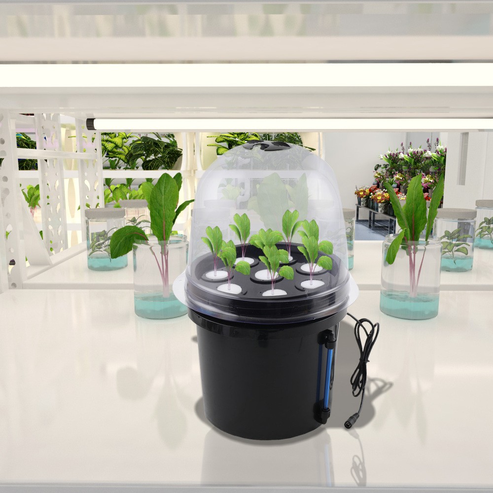 Hydroponics Grower Kit Hydroponic SystemSelf Watering Indoor Hydroponics Tools