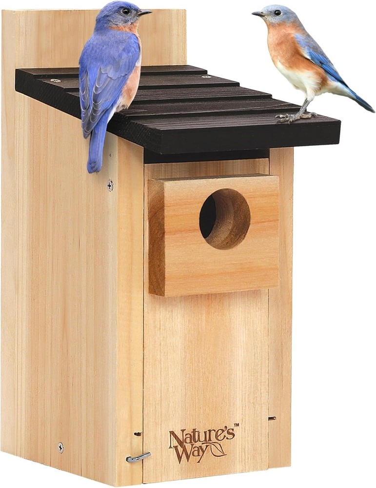 Durable Bluebird Nesting House - Cedar Construction with Elevated Mesh Floor