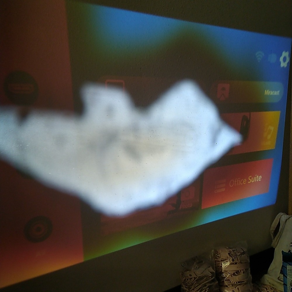 VANKYO - Leisure E30WT - 1080P Full HD Video Projector - AS-IS - Lens Problem