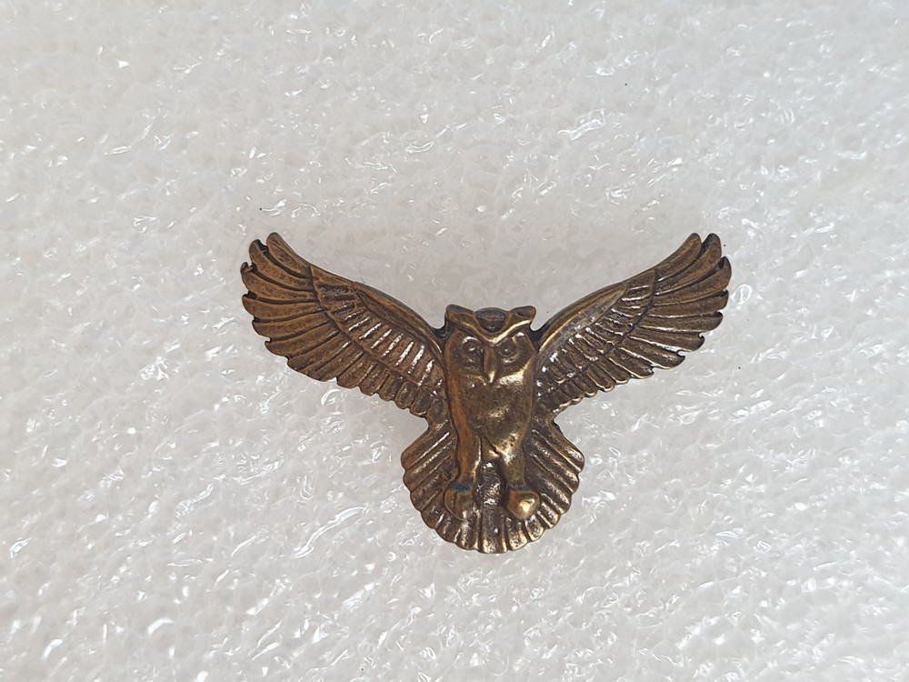 Pin. Badge. OWL. Eagle Owl.