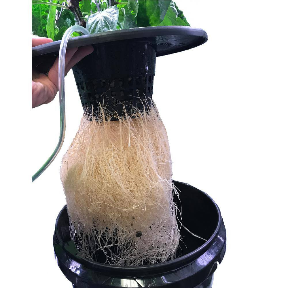6 In. Black Pot Bucket Lid Insert (6-Pack)