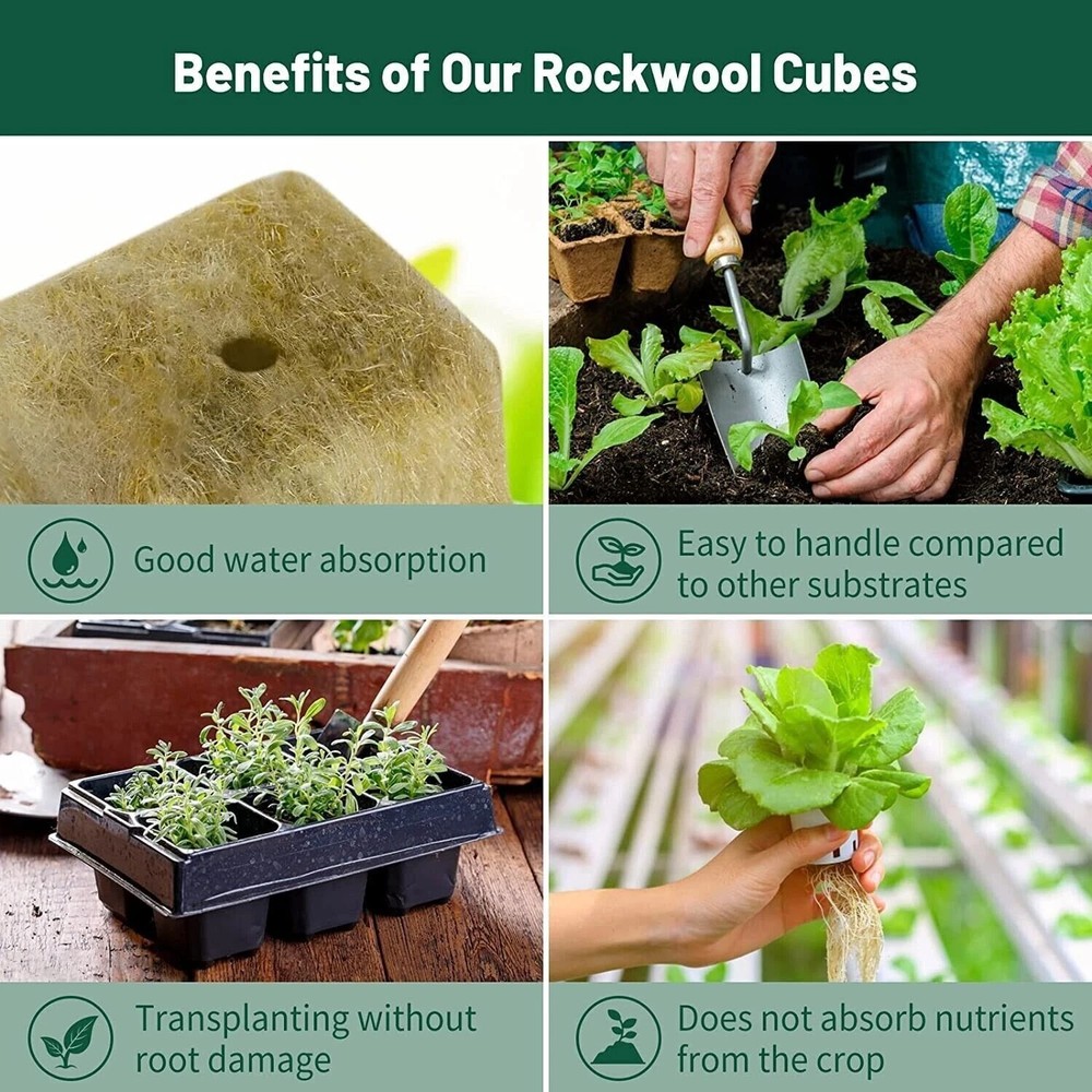 NEW Rockwool Cubes 1"x1" 100pcs Hydroponic Seed Starter for Herbs & Plants