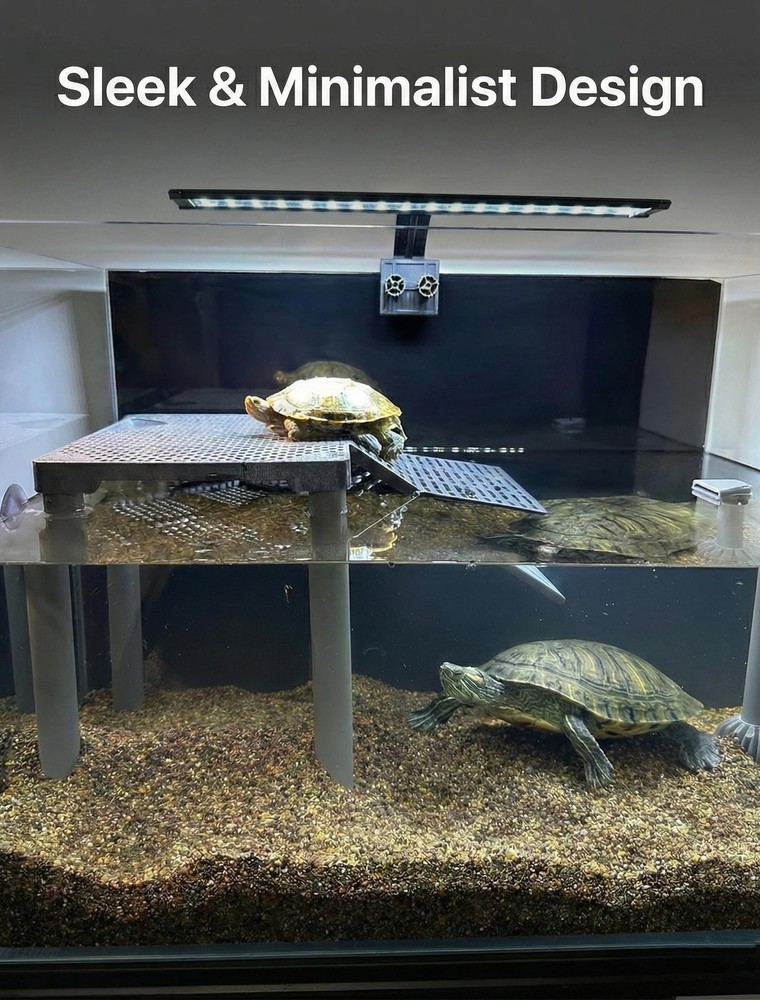 SolidForm Turtle Basking Platform with Ramp, Built-in Food Tray, Zero Zip-Tied
