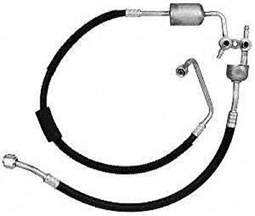 56175 Hose Assembly