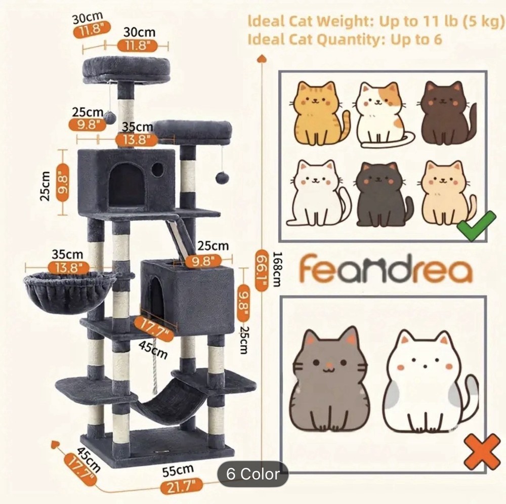 Cat Home
