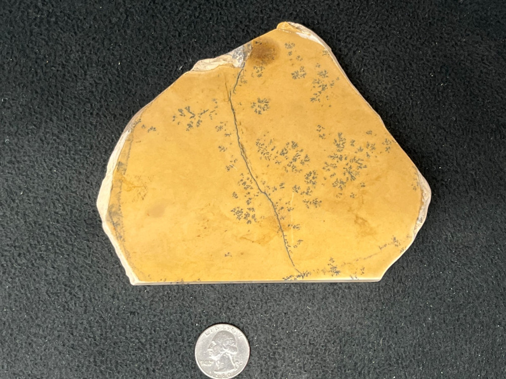 Dendritic Jasper Slab
