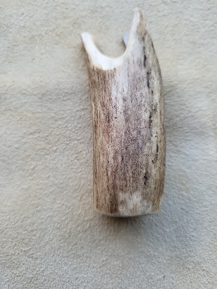 Black Powder Measure Deer Antler 30 grain muzzleloader