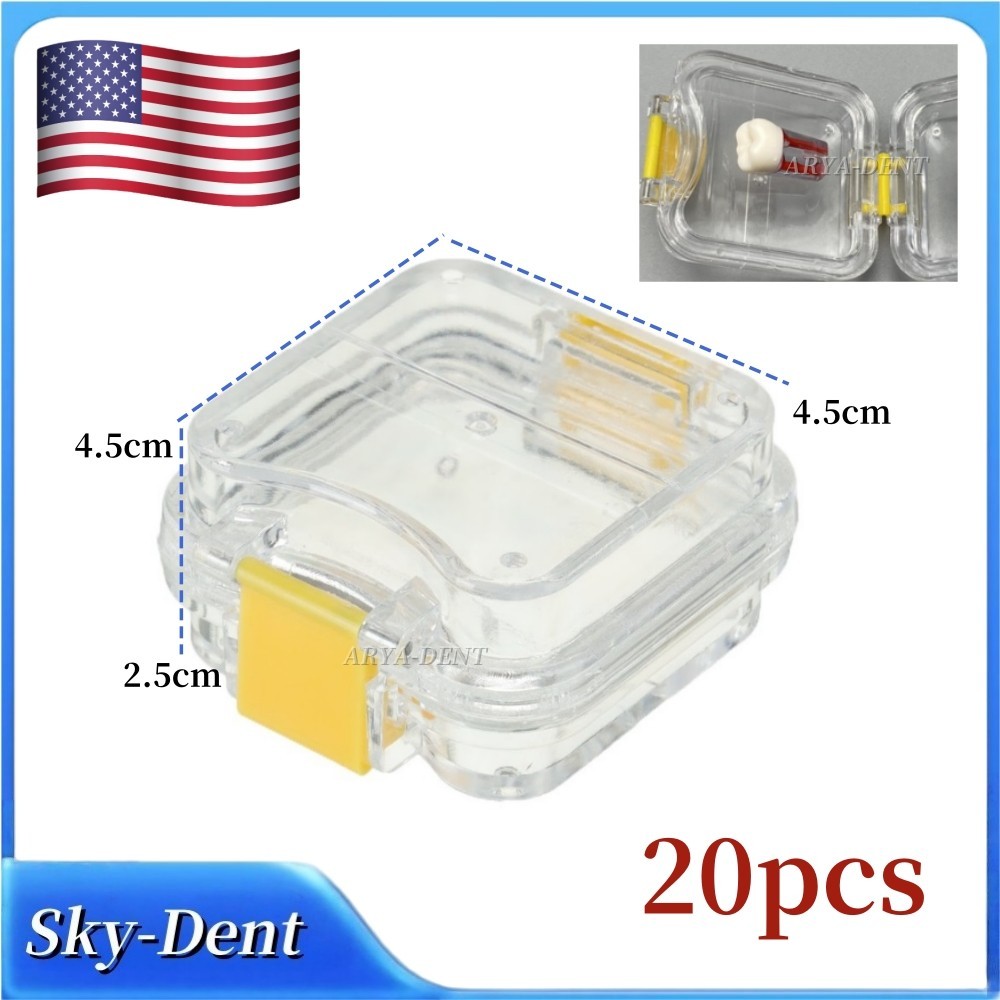 Plastic Denture Teeth Acrylic Membrane Hinged Display Case Jewelry Storage Box